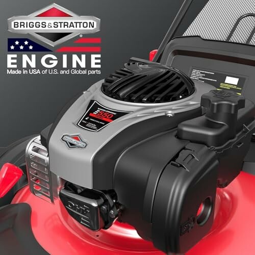 Briggs & Stratton engine on a lawnmower.