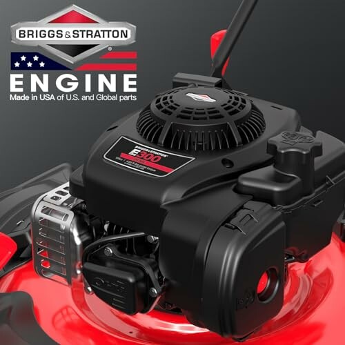 Briggs & Stratton engine on a red lawnmower